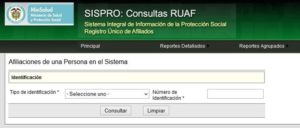 Cómo hacer una consulta en el sistema SISPRO RUAF pasos