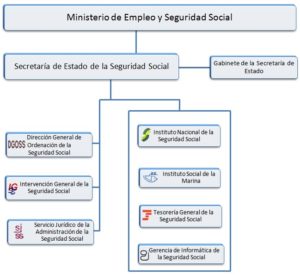 El Seguro Social y sus organismos de trabajo