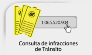Misión del Registro Único Nacional de Tránsito (Runt)